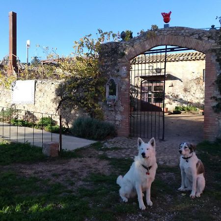 Mas Del Llop Blanc - Dog Friendly Hostal Rural - B&B Sobrestany Exteriör bild