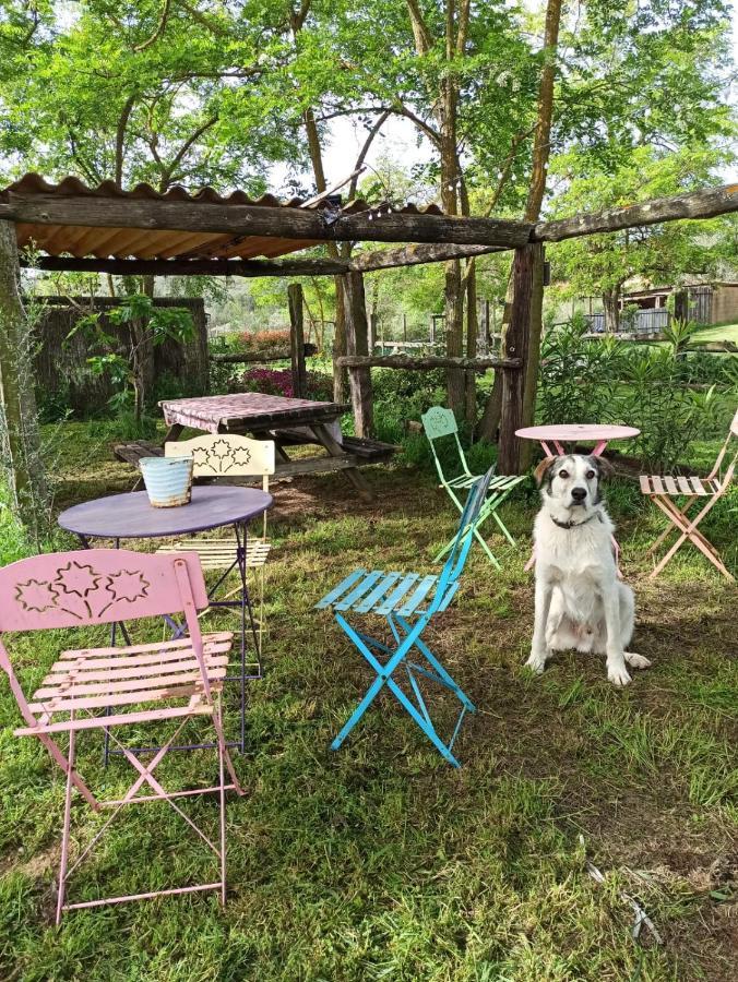Mas Del Llop Blanc - Dog Friendly Hostal Rural - B&B Sobrestany Exteriör bild