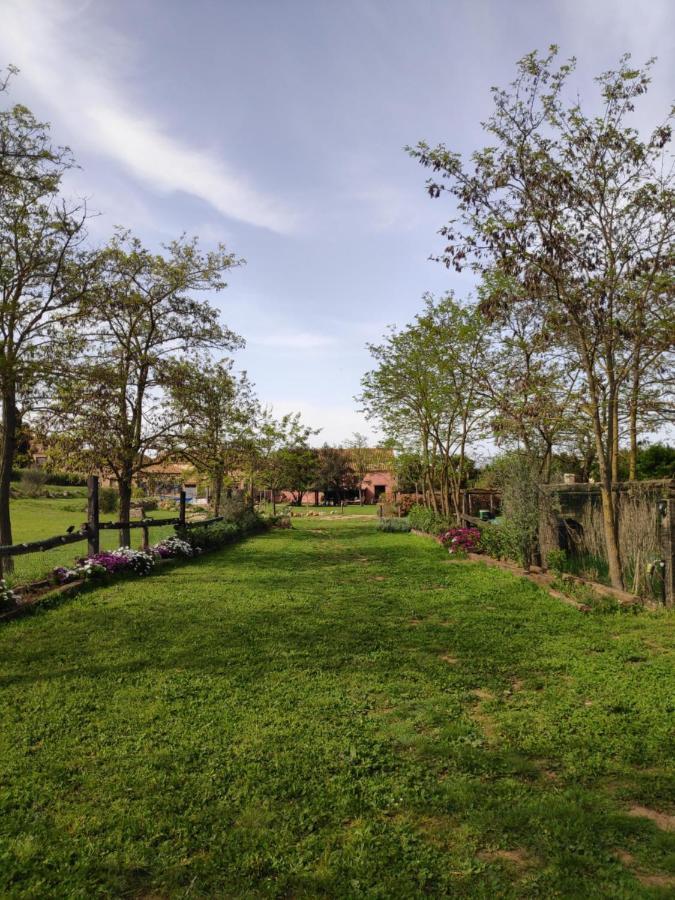 Mas Del Llop Blanc - Dog Friendly Hostal Rural - B&B Sobrestany Exteriör bild
