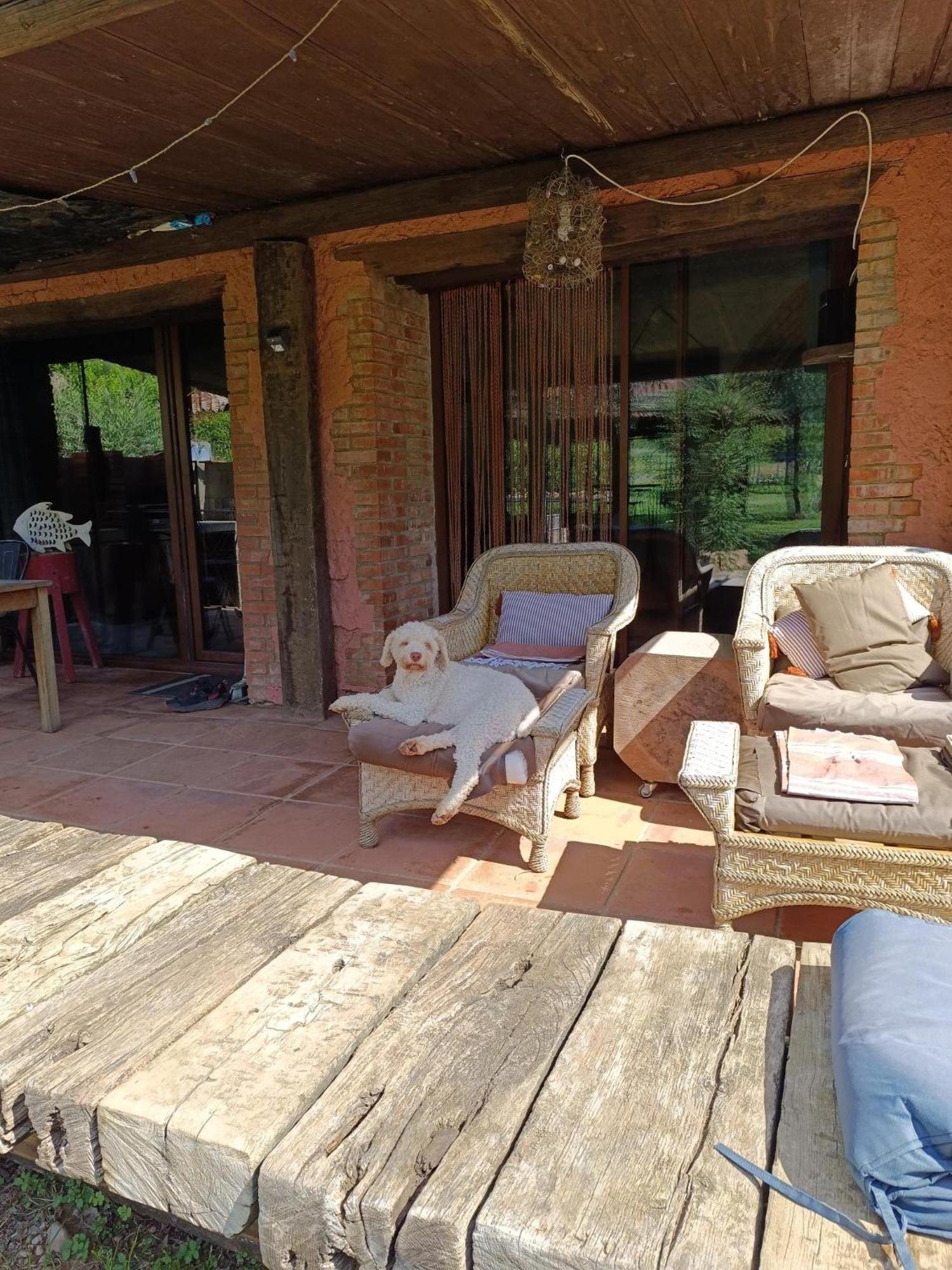 Mas Del Llop Blanc - Dog Friendly Hostal Rural - B&B Sobrestany Exteriör bild